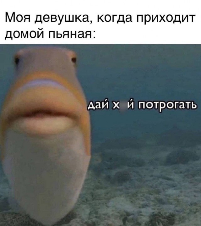 Пошло-баянистая деградация