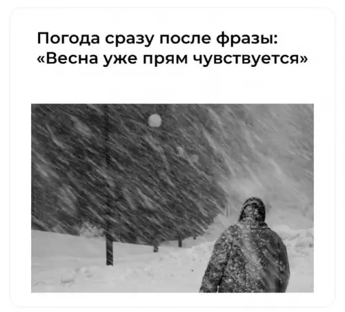 Субботние картинки