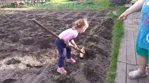А вы хотите в Отпуск?