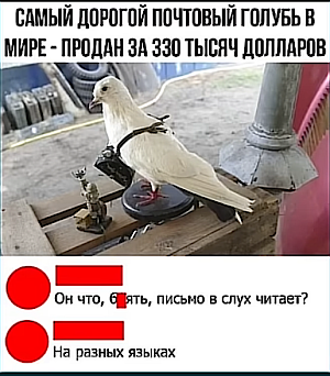 Субботим по баянам