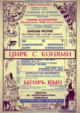 Тигр выпрыгнул с арены и побежал в зрительские ряды в цирке в Ростове-на-Дону