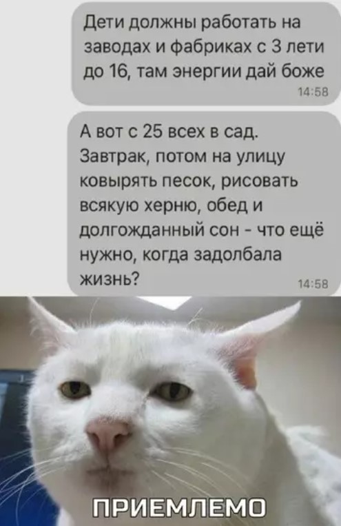 К котовторнику: подборка картинок-баянов с котиками и про котиков. Выпуск 36.
