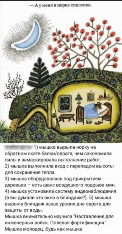 Лисья нора не так проста