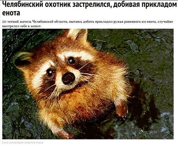 Картинки для деградации 264 (разной степени свежести)