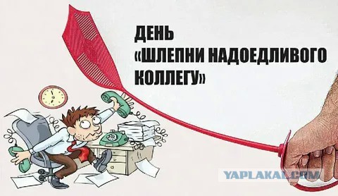 Побороть желание подраться с коллегой на работе помогут крик в машине и приседания, — психологи