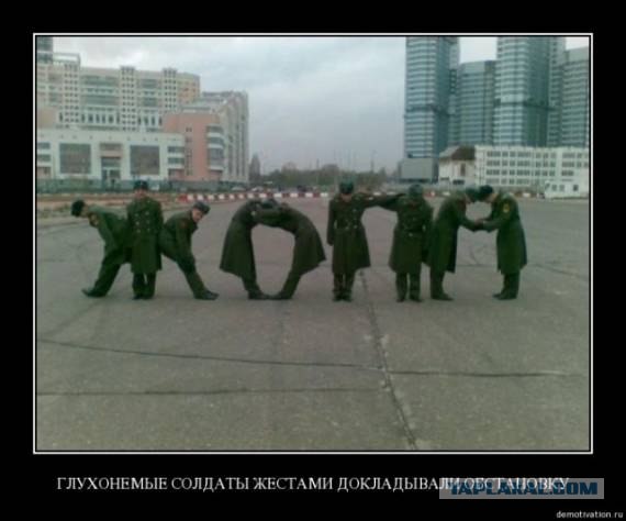 Личный сборник демотиваторов [~25]