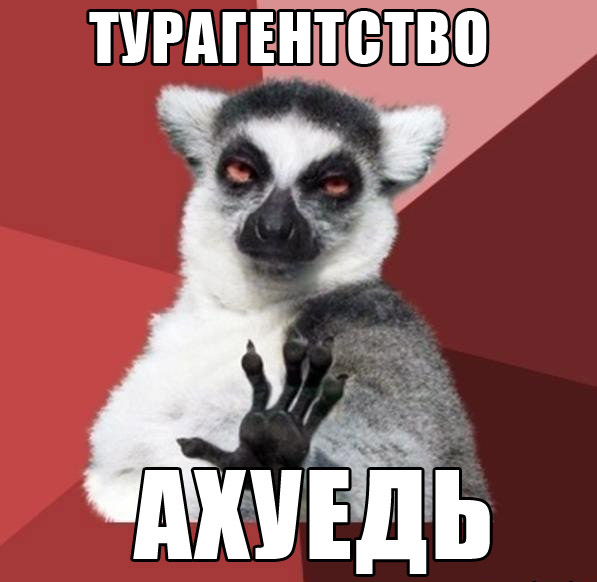Маразмы года 2013