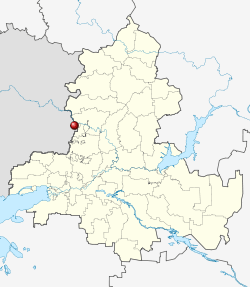 Митингующий Донецк