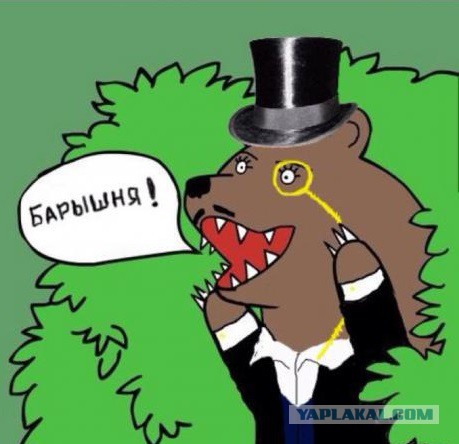 Мечты молодого сисадмина