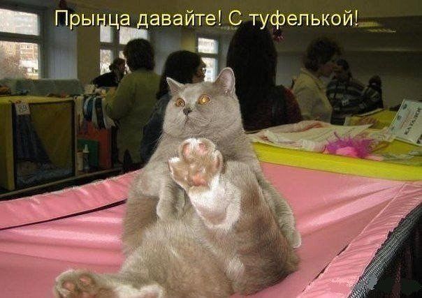 Улыбнуло часть "2"