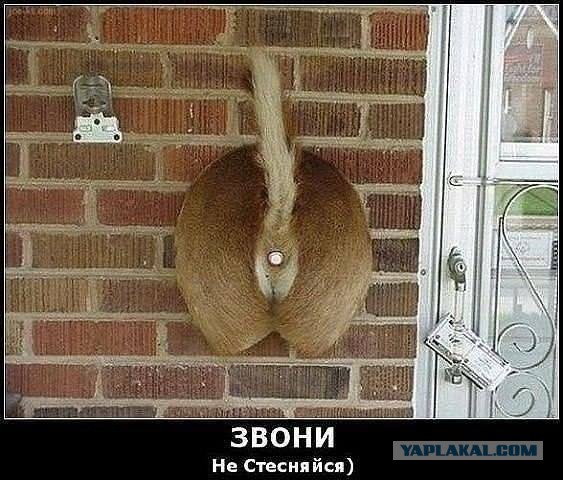 Все...Абсолютно все смотрят на попу...Даже женщины