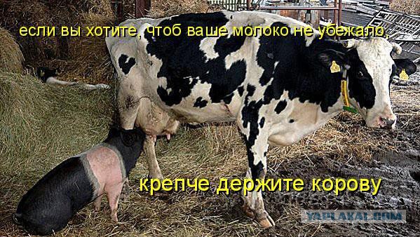 Чёрт, чёрт, чёрт!