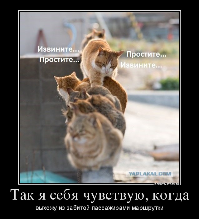Подборка смешных картинок :)