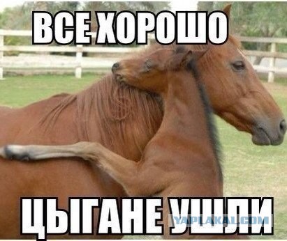 Веселые картинки