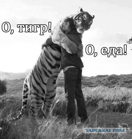 С поличным