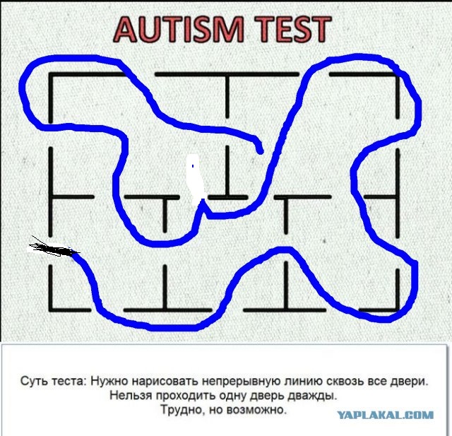 Autism test