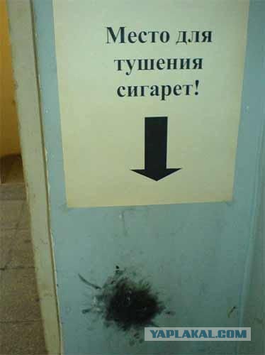 Весёлое из сети