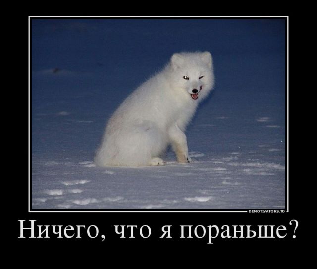 Давно демотиваторов не было