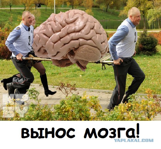 Лавкаю его