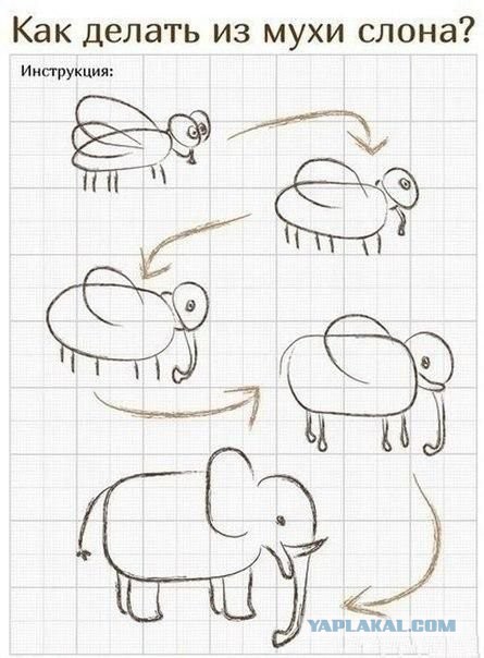 Животных рисовать очень легко!
