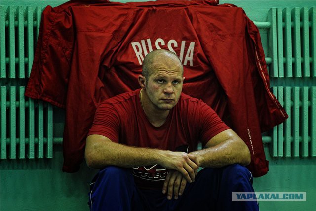 Турнир в Ростове по смешанным единоборствам