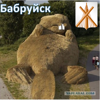 Бобра много не бывает