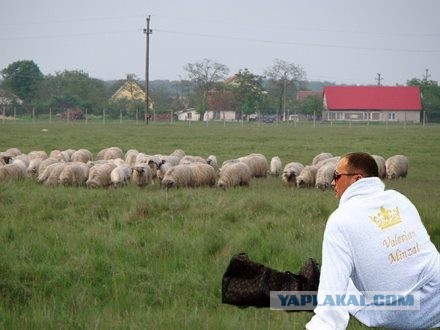 25 Самых богатых людей из соц сетей