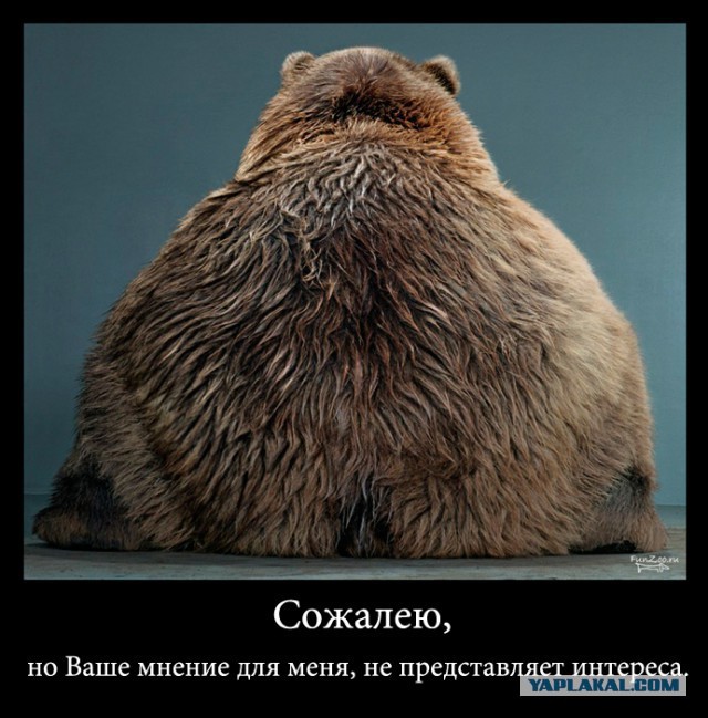 НАТО - России: Вы неправильно воюете с ИГИЛ