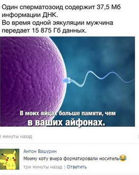 Смешные комментарии из социальных сетей