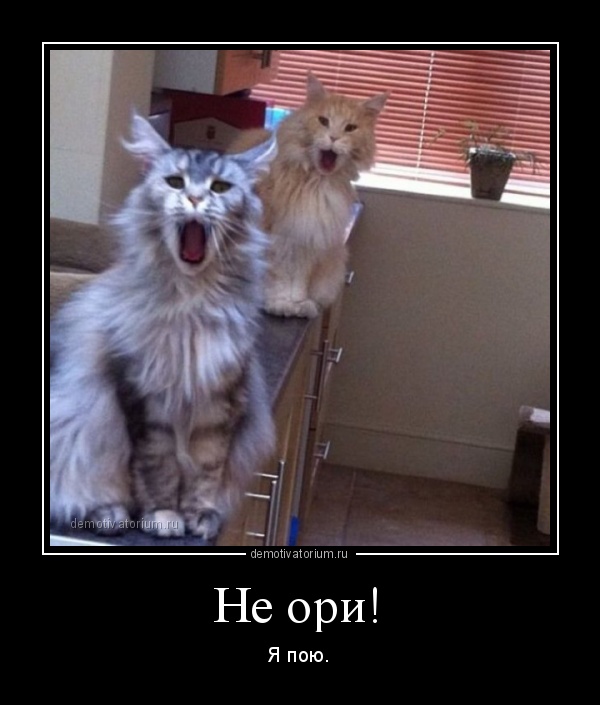 Демотиваторы