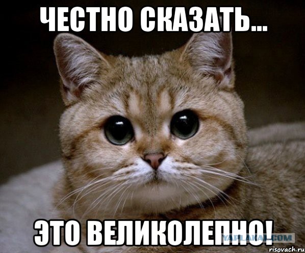 Хобби моей сестренки