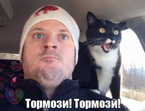 Картинки на пятницу