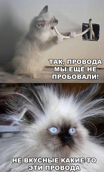 Веселые картинки.