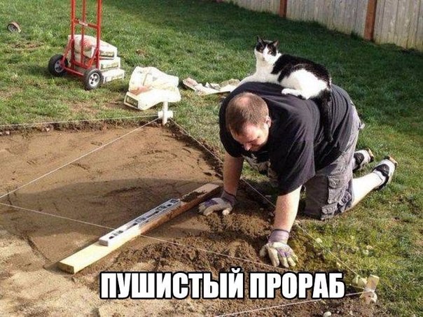Подборка картинок из сети