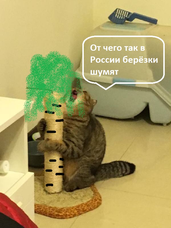 Очень эмоциональный кот