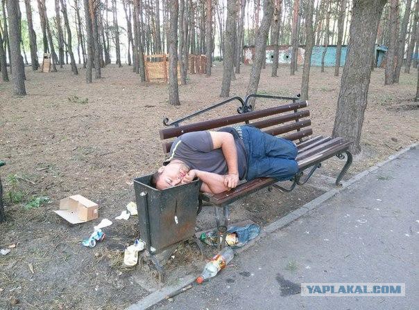 Вестник социальных сетей