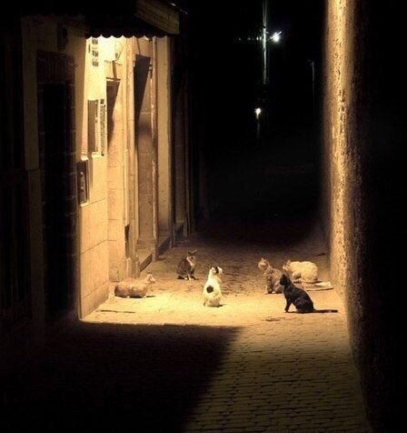 Подборка интересных и веселых фото