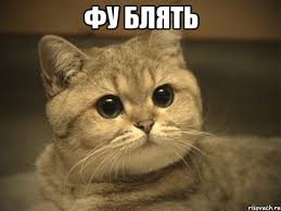 Любовь и Фубля