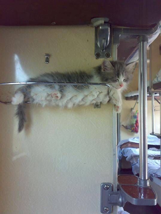 Зачем брать билеты на нижнюю полку в купе, если всё равно её надо уступать?