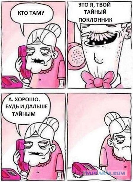 Картинки смешные и тупые