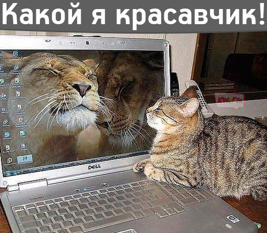 Картинки с этих ваших интернетов.