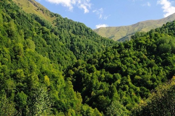 Картинки для отдыха глаз