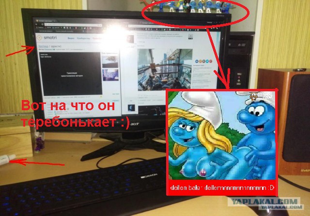 Что видят с рабочего места люди разных профессий
