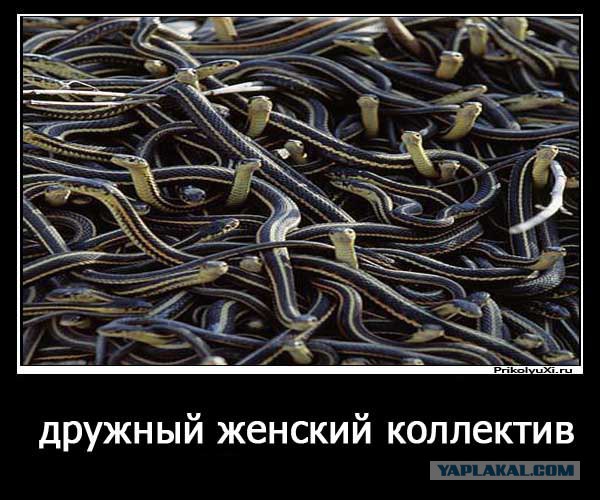 Денежные сборы на работе