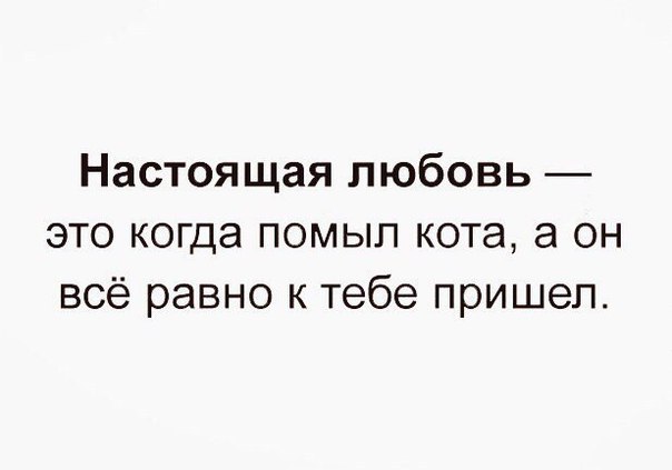 Подборка интересных и веселых картинок