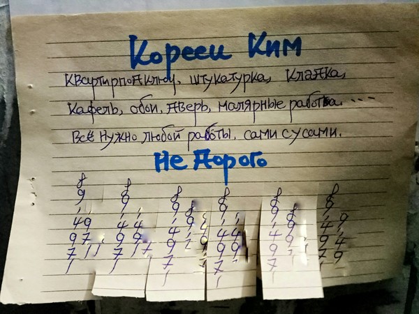 Картинок всяких