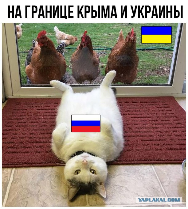 Опрос в Киеве о запрете Вконтакте и ОК