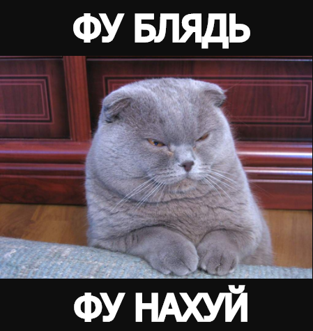 При Хефнере такого не было: девушкой месяца в Playboy впервые стала модель-трансгендер