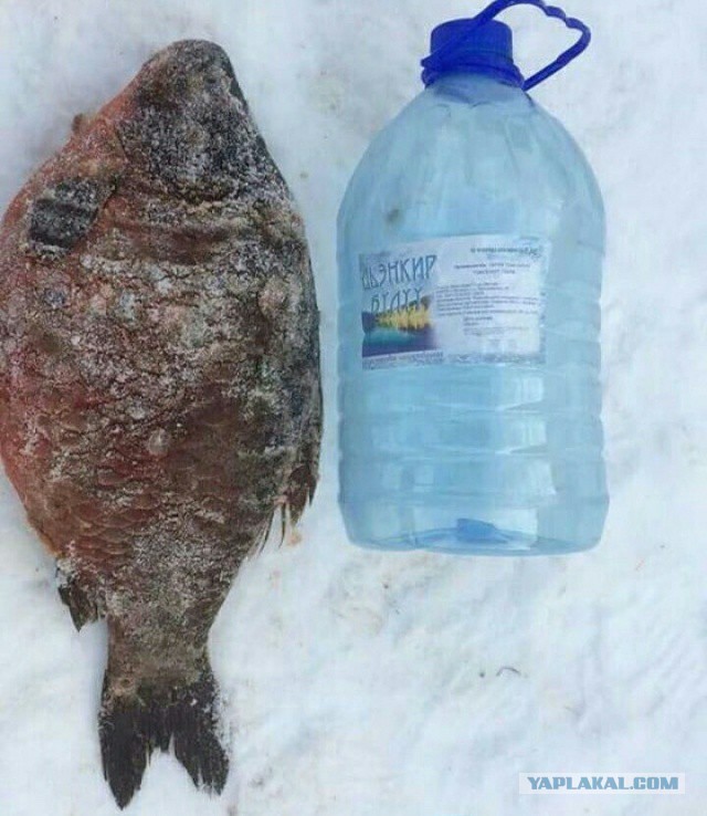 Особенности зимней рыбалки в Якутии