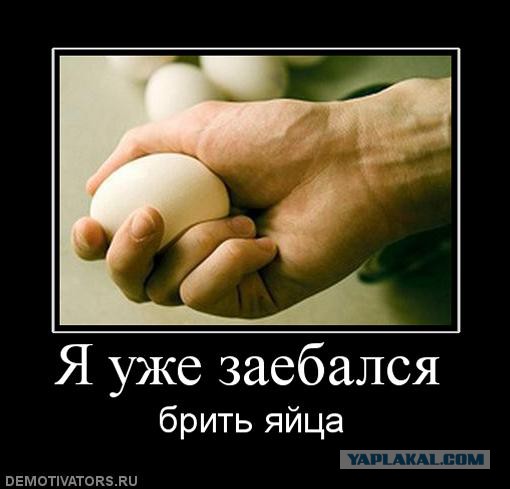 Седина в бороду + бес в ребро = бритые яйца (18+)